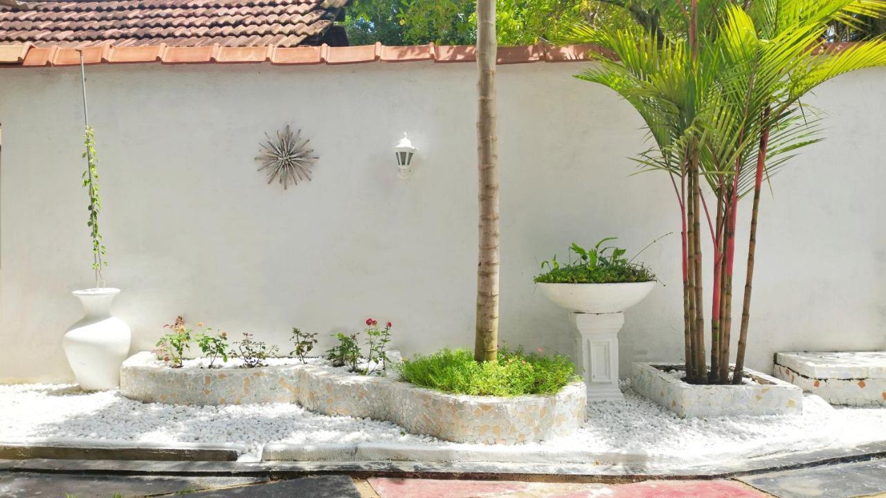 Boho Garden Guest House Mirissa Kültér fotó
